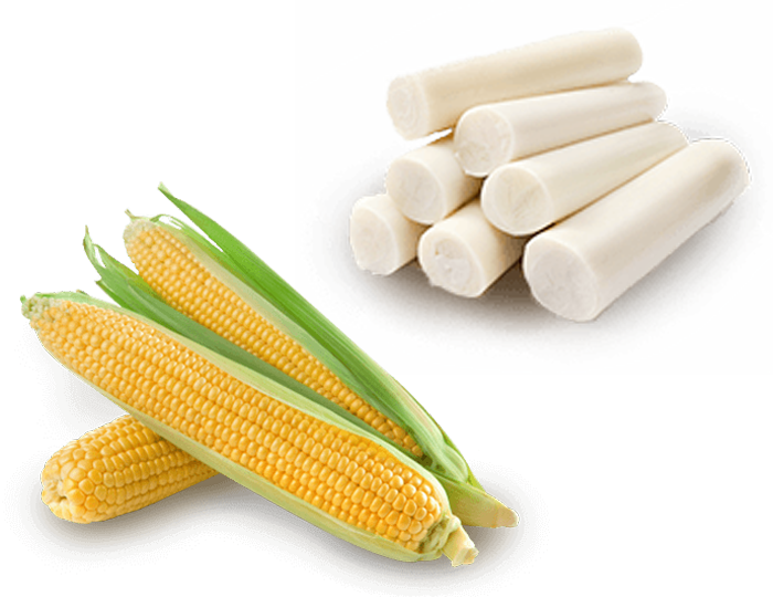 Corn Palm Ingredient Image