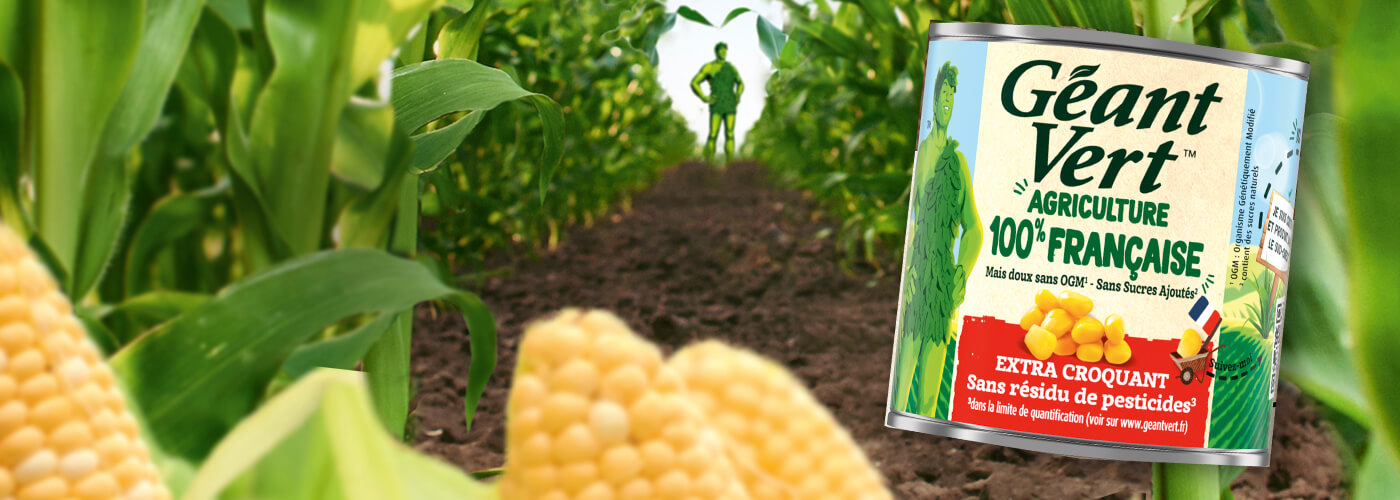 Green Giant Homepage Banner